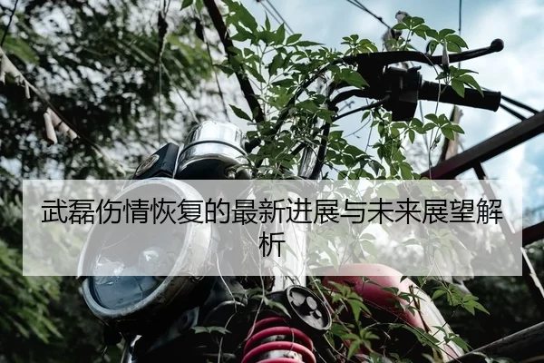 武磊伤情恢复的最新进展与未来展望解析